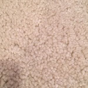 Meet your Posher, Ginger